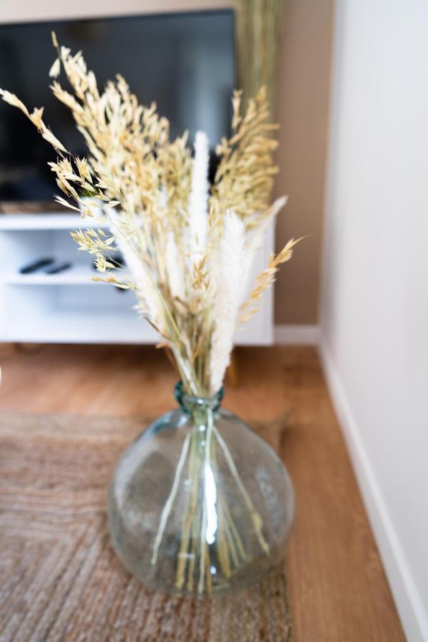 Magnifique Spacieux Et Sa Cosy Appartement *